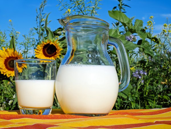 Uống sữa tươi không đường giảm cân hiệu quả như thế nào?
