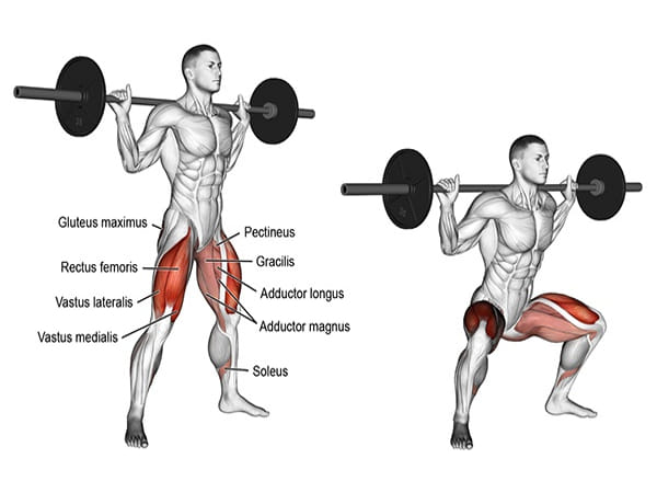 Wide stance barbell squat