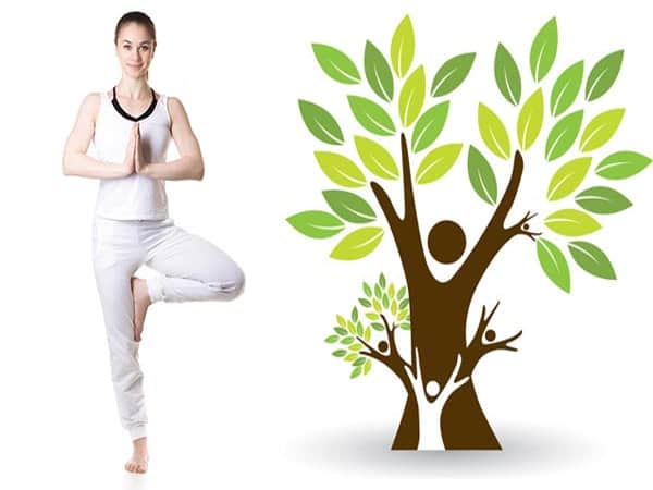 Bài tập yoga cơ bản tư thế cái cây