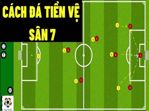 Cách đá tiền vệ trung tâm sân 7 người