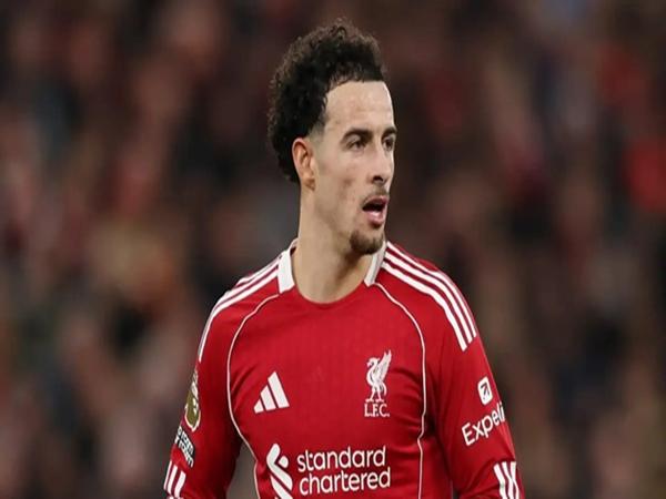 Chuyển nhượng Tottenham: Nhắm trụ cột Liverpool