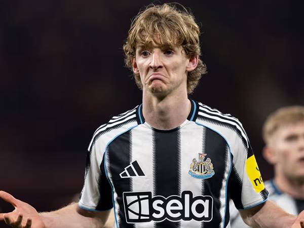 Tin Arsenal: Arsenal quyết chi đậm vì Anthony Gordon Tin Arsenal: Arsenal quyết chi đậm vì Anthony Gordon